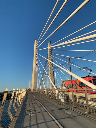 Tilikum Crossing景点图片