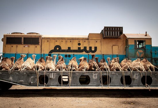 Time4mauritania Tours-诺克少必去景点