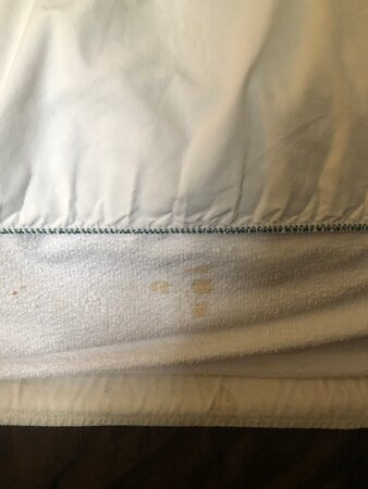 哈利法克斯舒适酒店主图