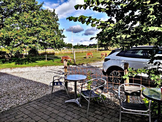 Motel Viborg-官方