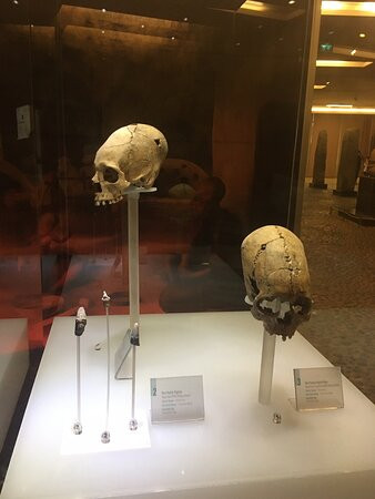 Hatay Archeology Museum景点图片