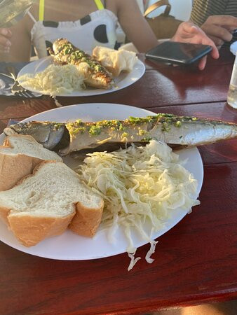 Kika Excursion Brijuni Pula-普拉必去景点