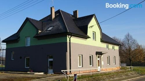 Borovec