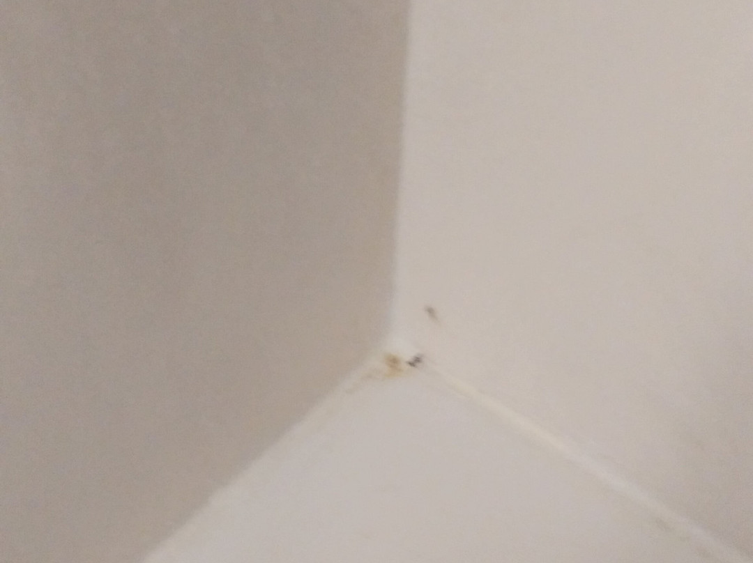 La Quinta Inn & Suites By Wyndham Hammond主图