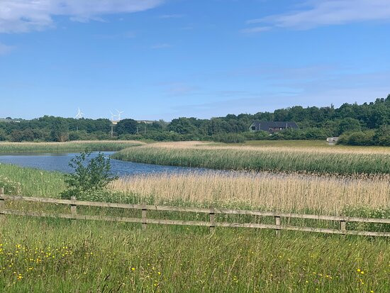 Rainton Meadows Nature Reserve & Visitor Centre-Houghton-le-Spring必去景点