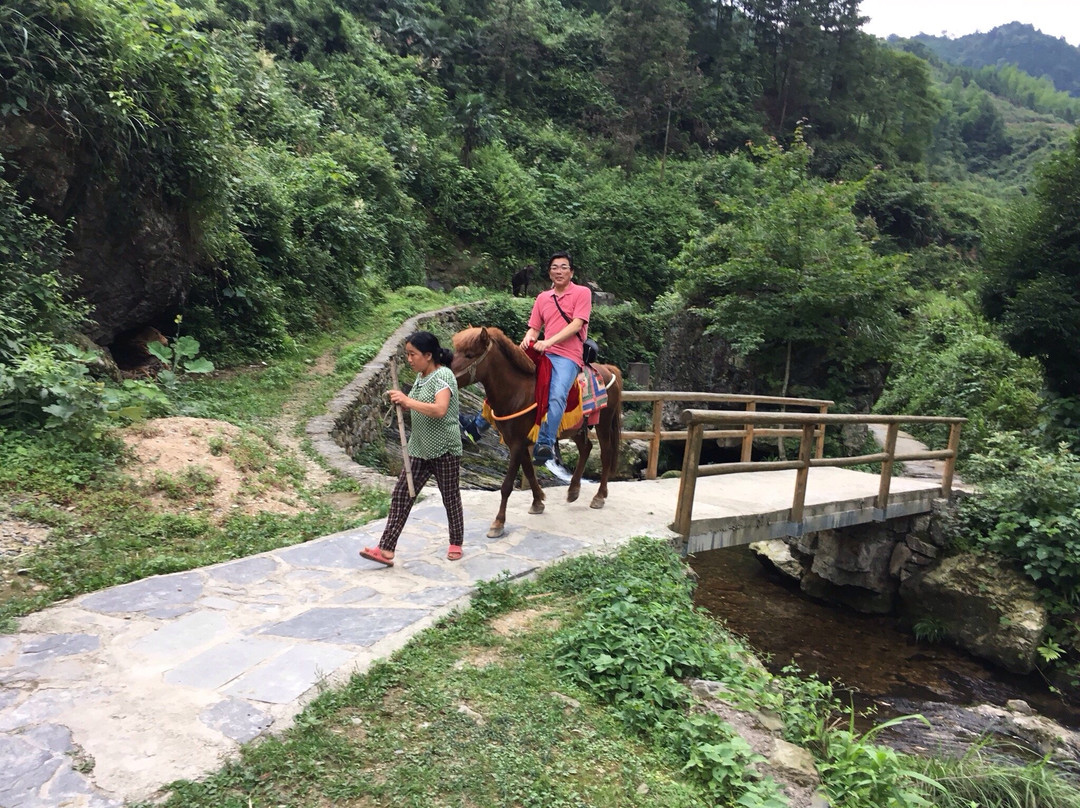 安化县旅游攻略图片