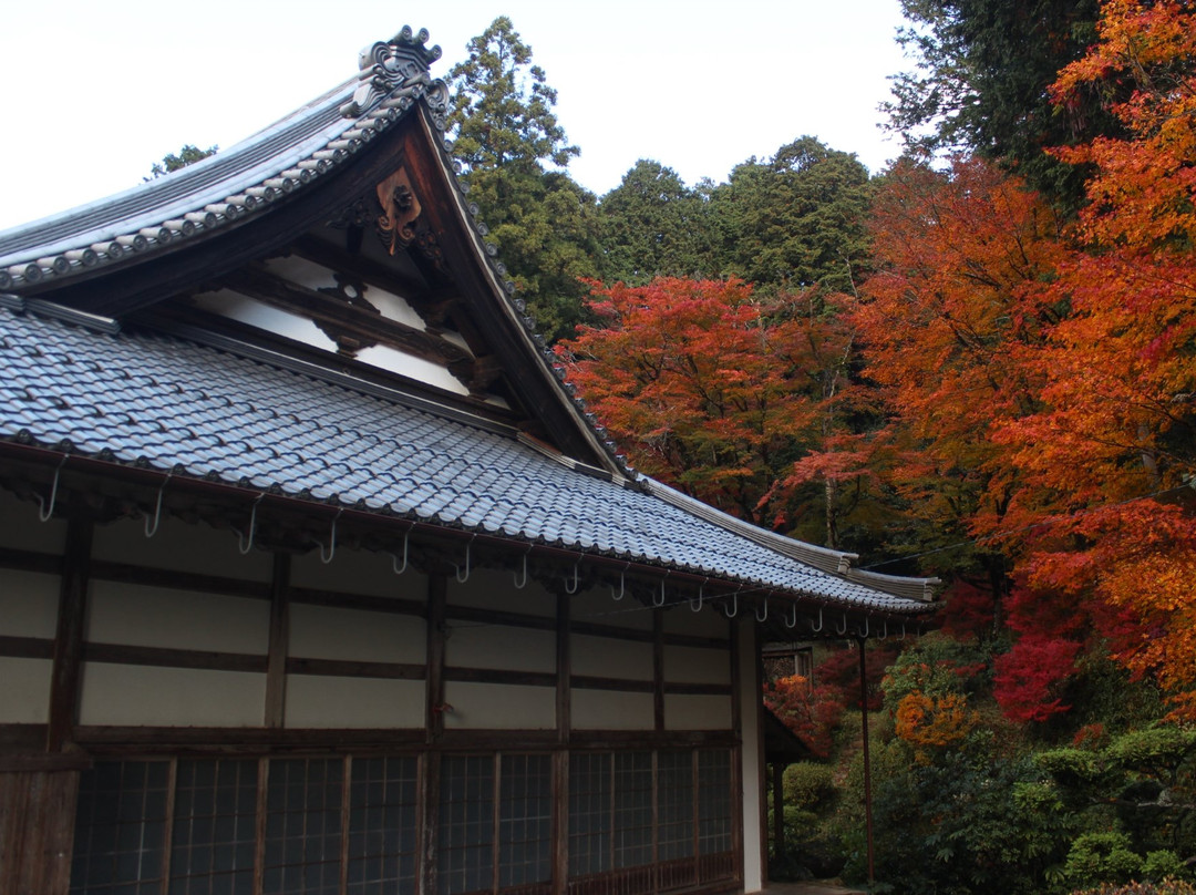 Yosenji Temple景点图片