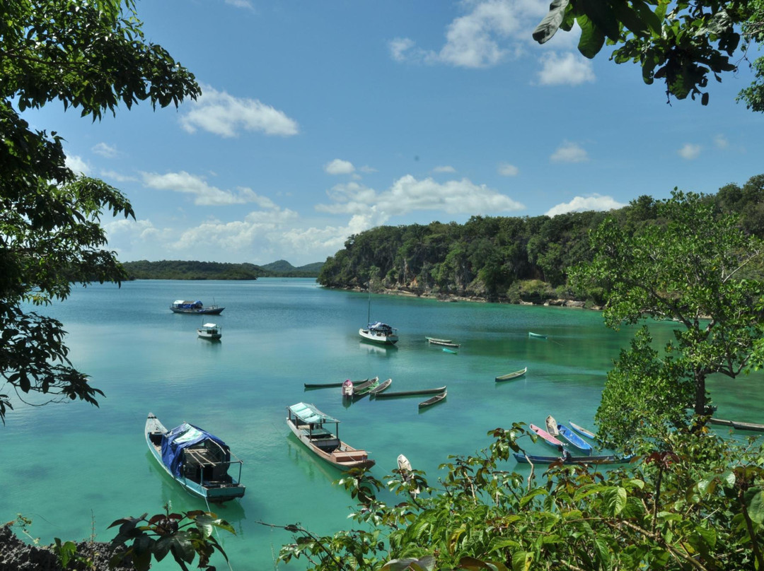 Batu Termanu景点图片