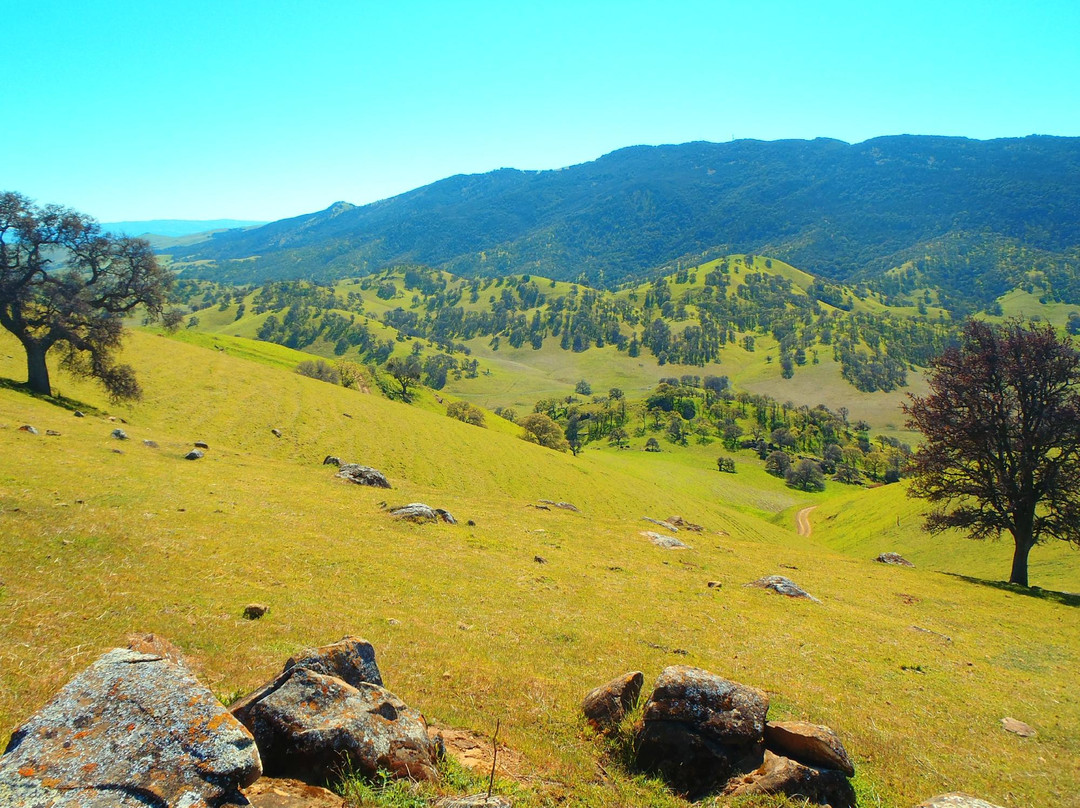 Brentwood旅游攻略图片