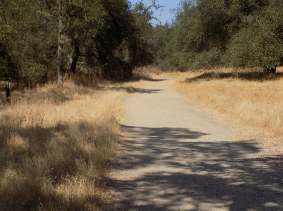 Carmichael旅游攻略图片