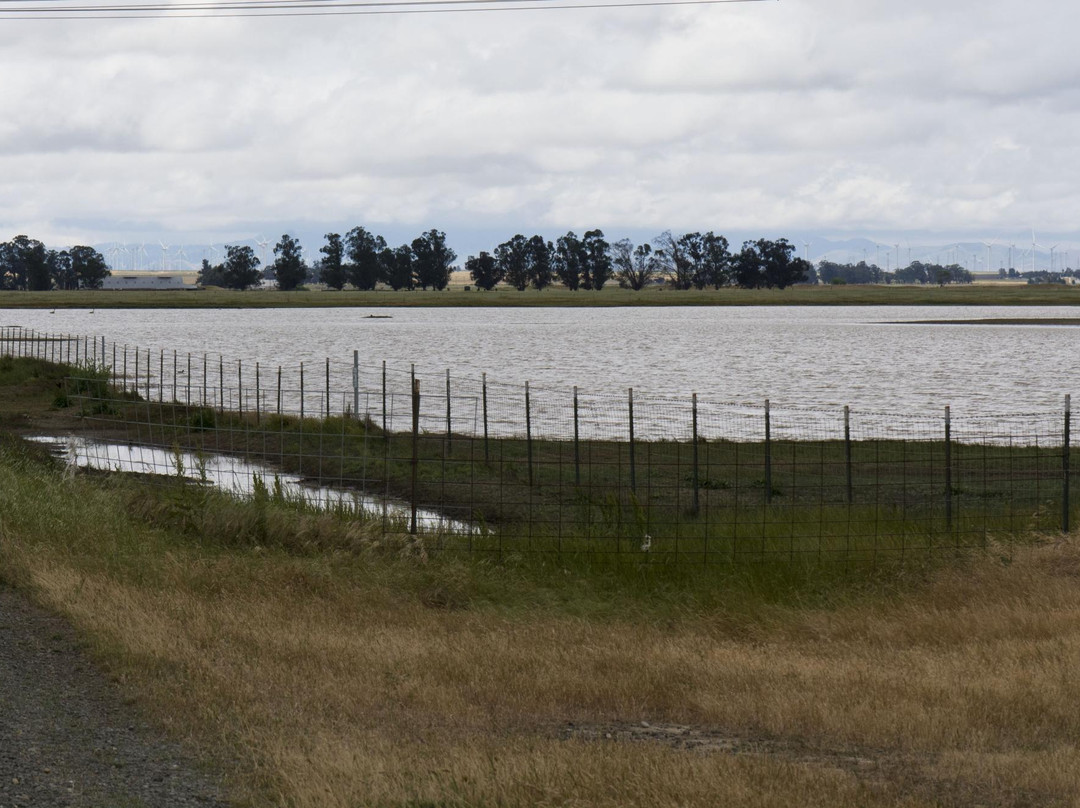 Dixon旅游攻略图片