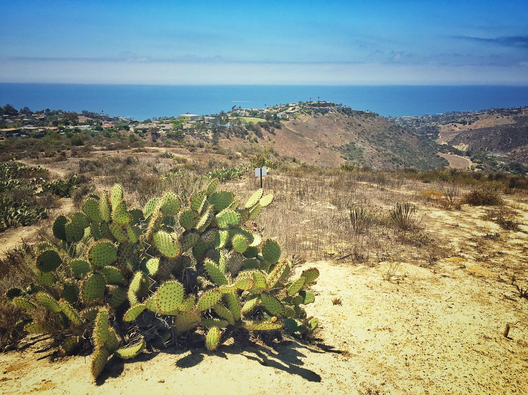 拉古纳尼格旅游攻略图片