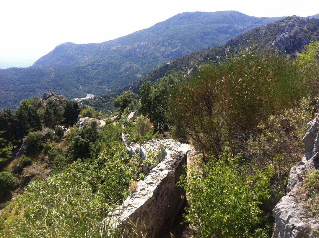 Castillon旅游景点-Chateau Et Jardin Medieval