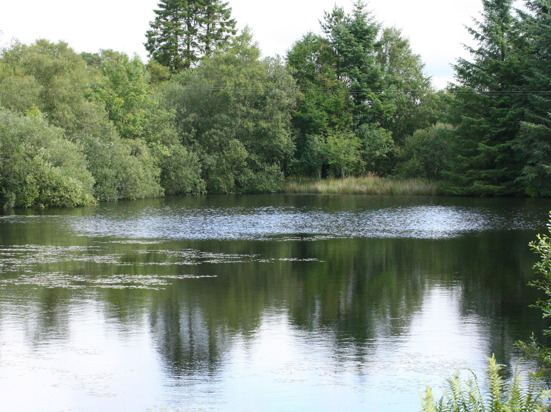 Glenluce旅游攻略图片