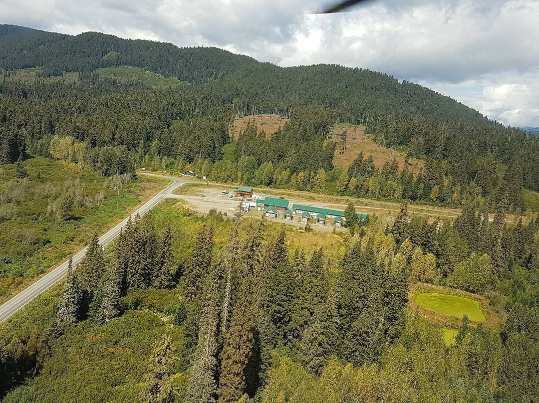 Meziadin Junction旅游攻略图片