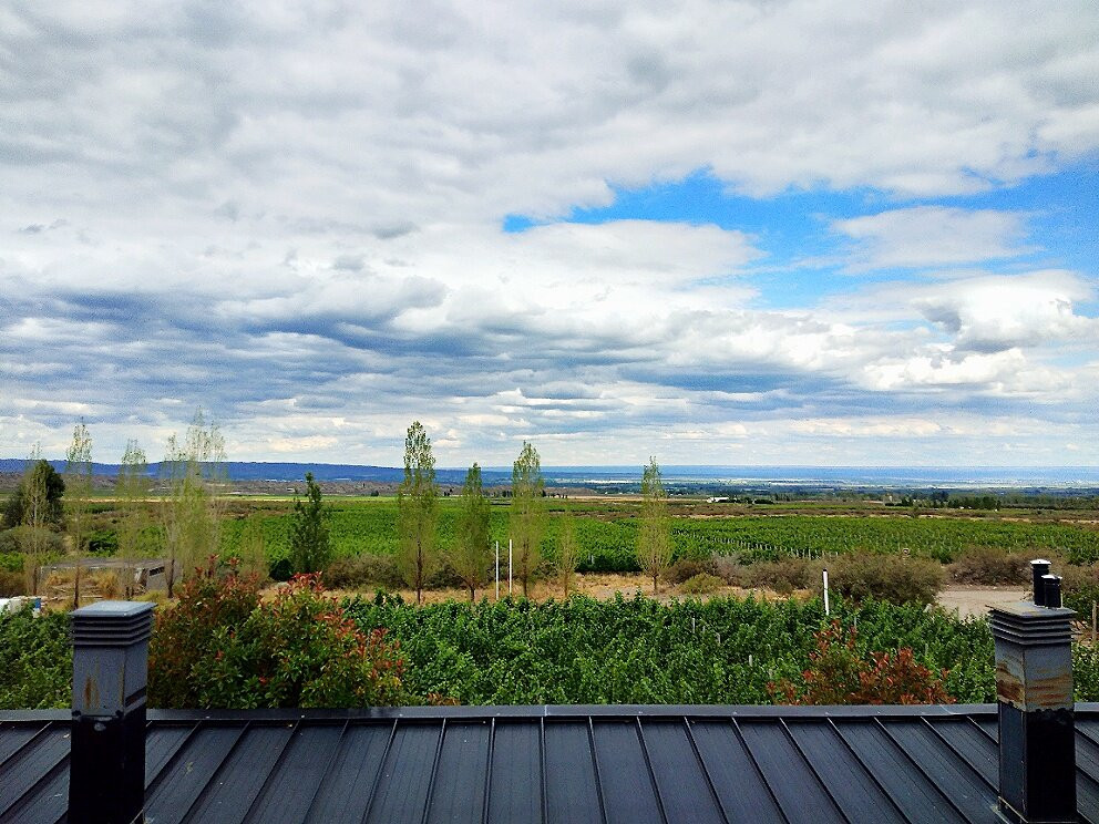 Auberge du Vin, a Tribute Portfolio Hotel, Tupungato主图