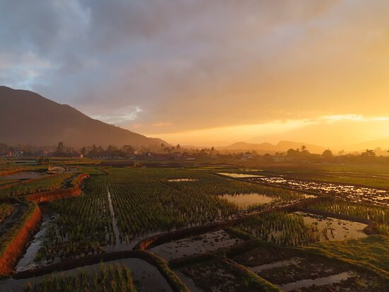 Javajivi Backpacker-牙律必去景点