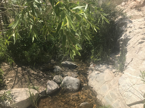 Trail Canyon Falls Trail-洛杉矶必去景点