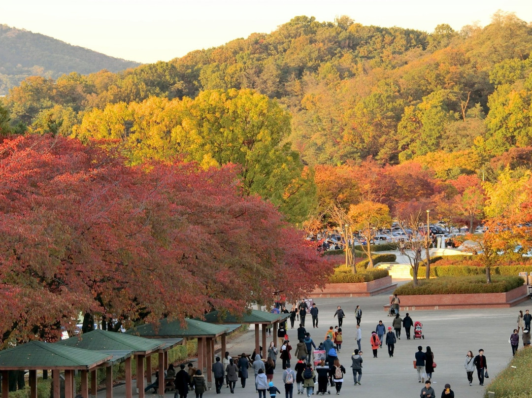 Seoul Grand Park景点图片