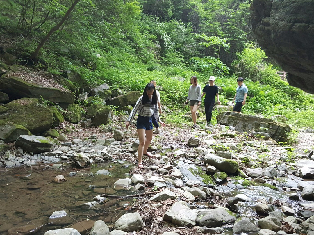 奉化郡旅游攻略图片