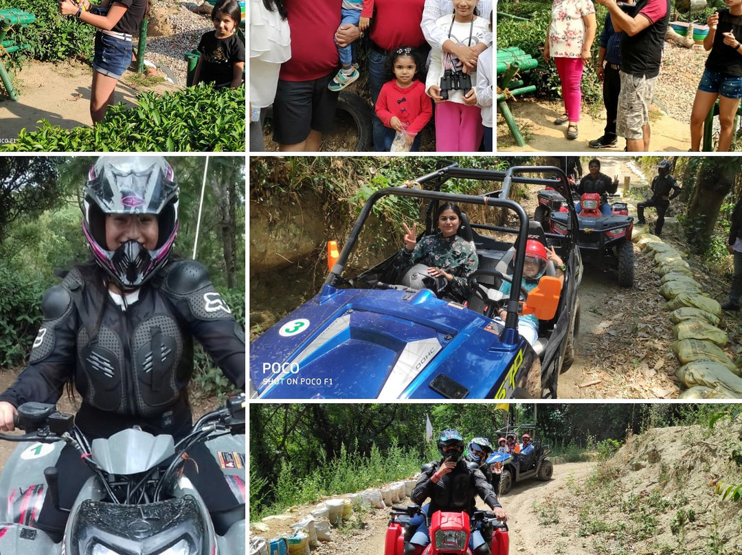 Himalayan Adrenaline-Palampur必去景点