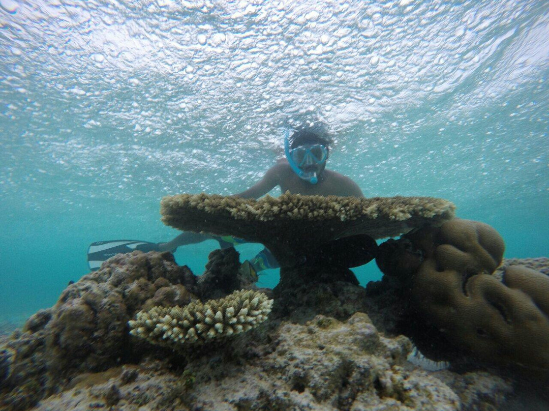 Gulhi Island Watersports-Gulhi Island必去景点