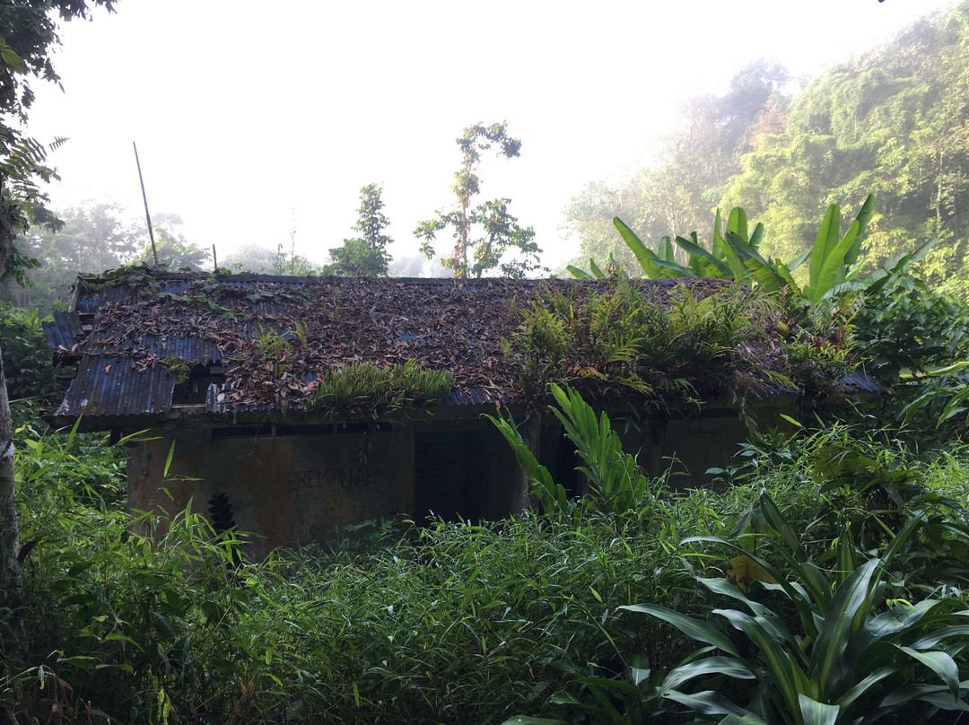 Gunung Hitam景点图片