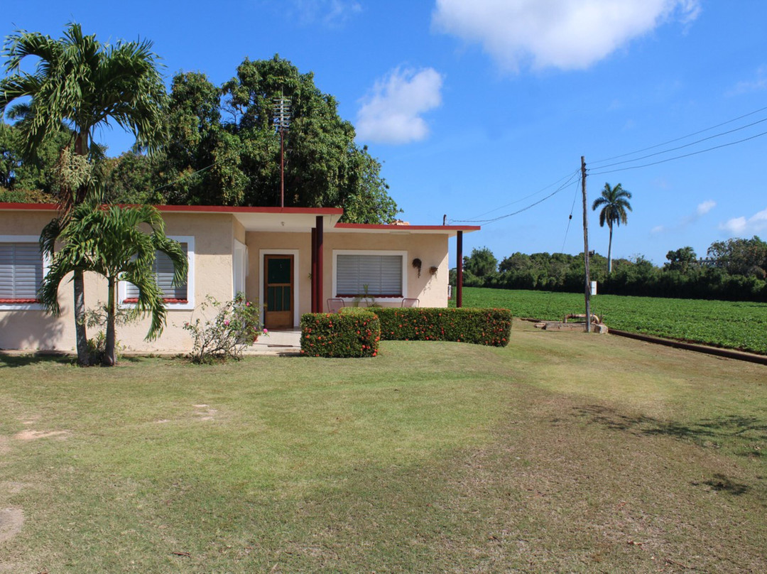 Santa Marta酒店住宿-Hostal La Bugambilia