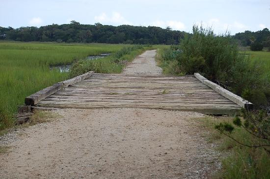 Botany Bay Ecotours景点图片