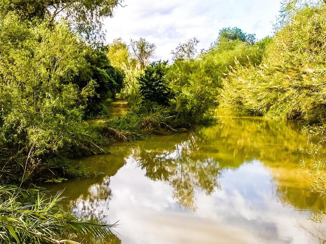 布朗斯维尔旅游攻略图片