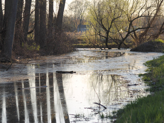 Harrison Township旅游攻略图片