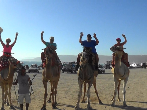 Agadir Excursion-阿加迪尔必去景点