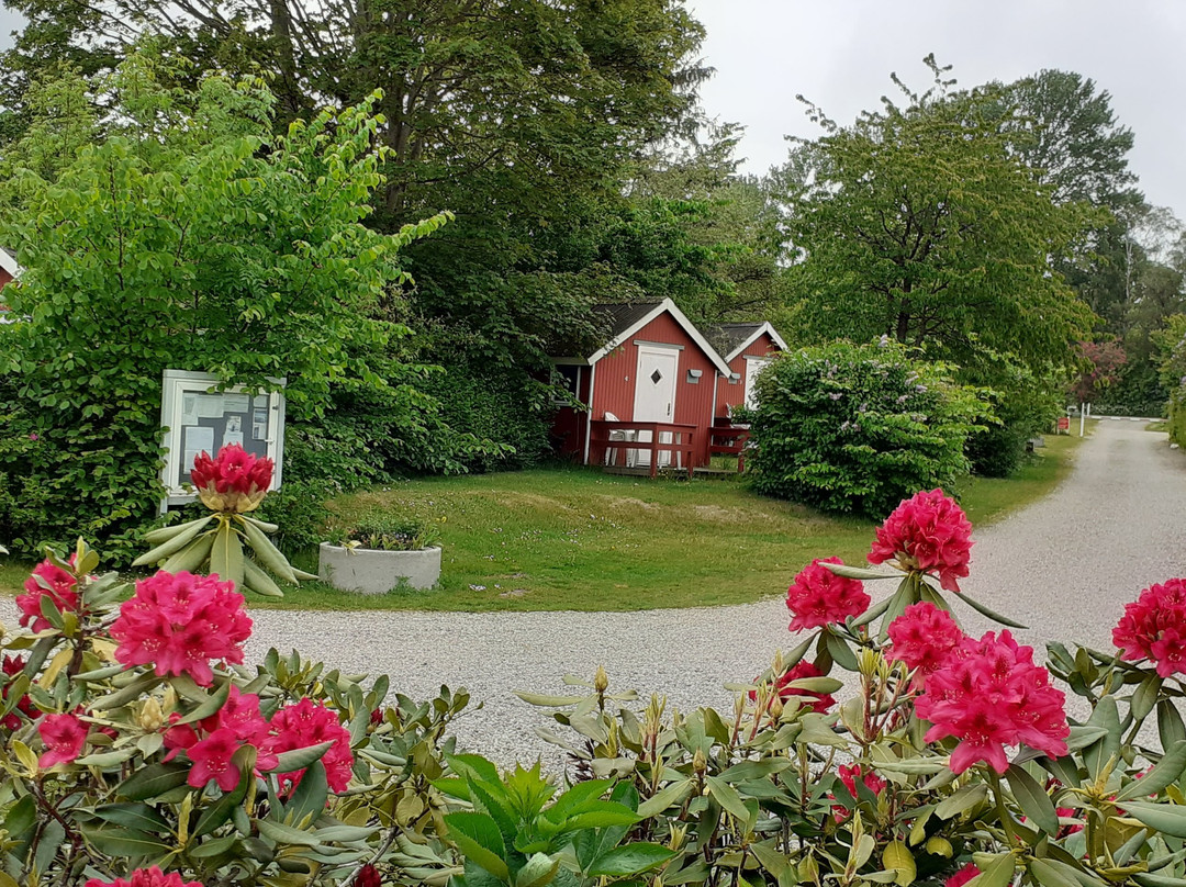 Vig旅游攻略图片