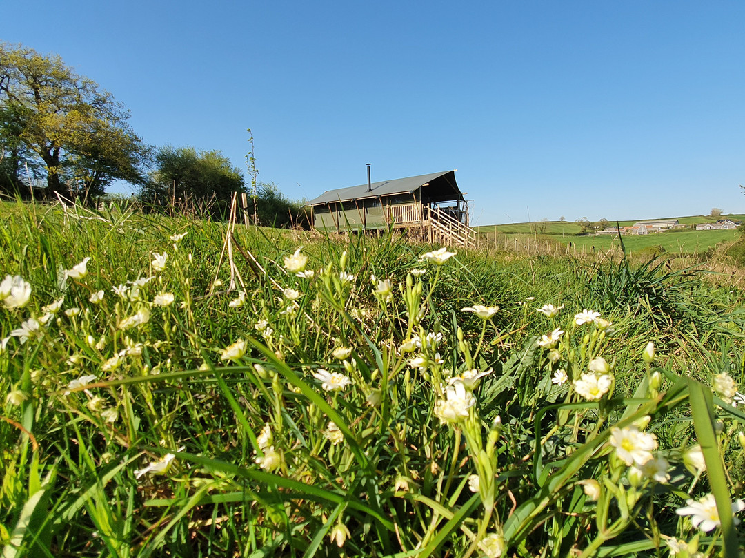 Ugborough旅游攻略图片