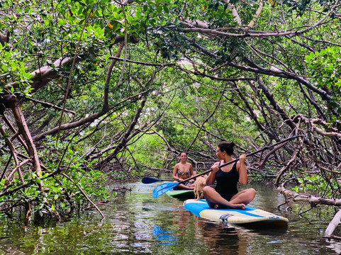 Gnarly Harley Adventures-那不勒斯必去景点