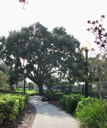 Doggie Days Dog Park景点门票图片