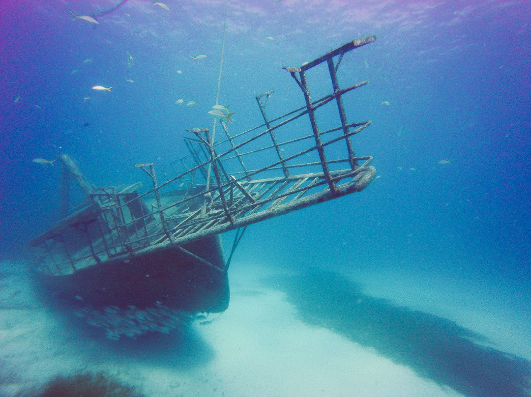 Blue Odyssey Diving景点图片