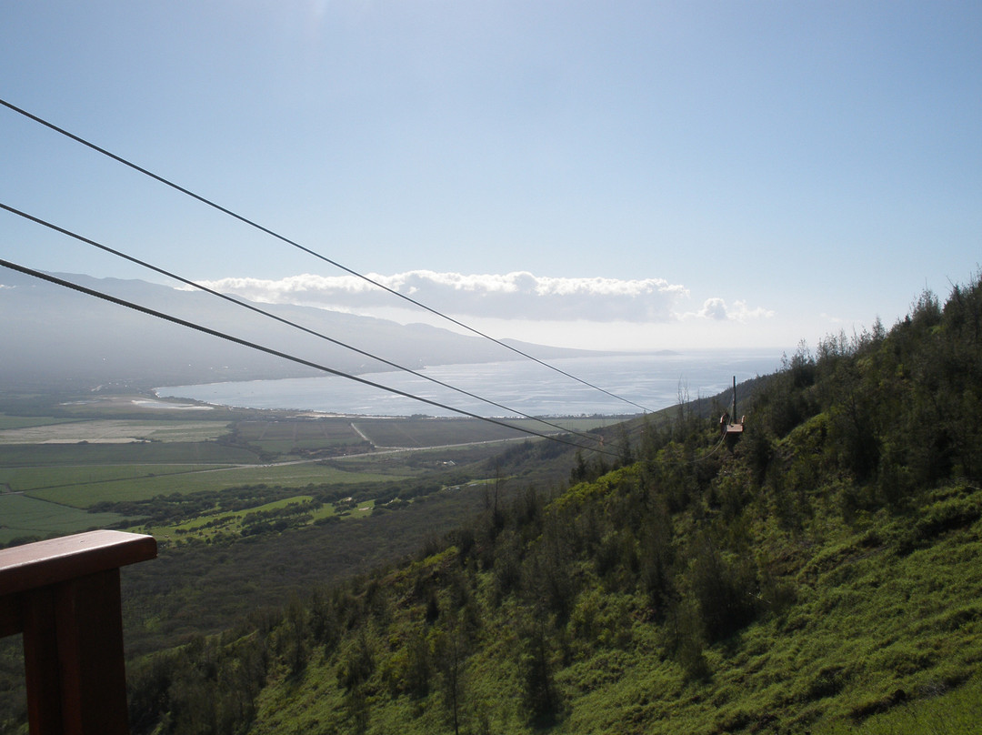 Flyin Hawaiian Zipline-怀露库必去景点