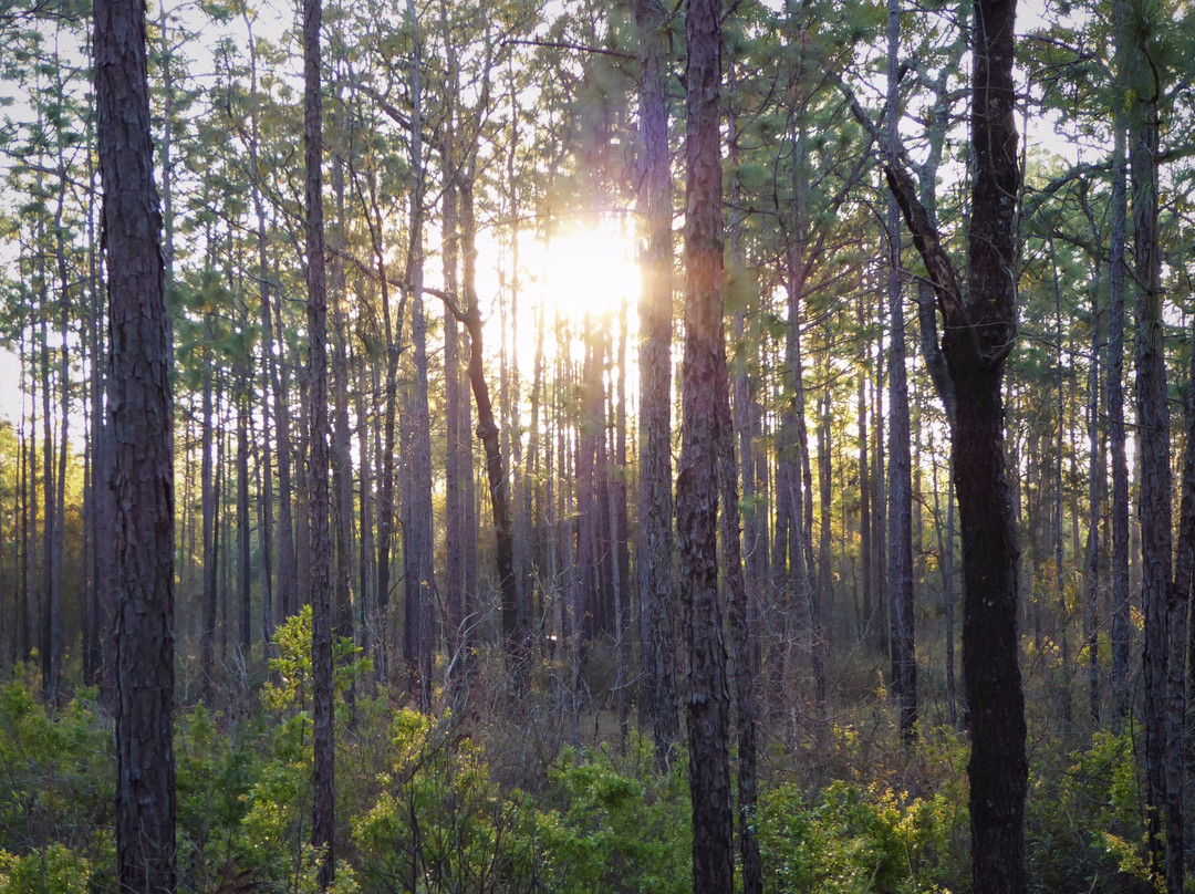 Ross Prairie Trailhead