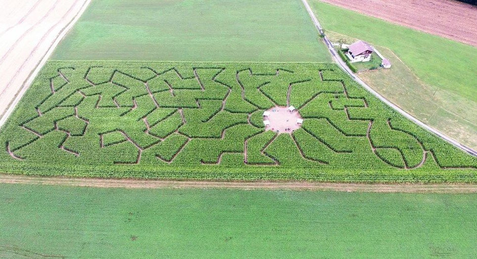 Labyrinthe De Maïs (ferme Du Coucou)