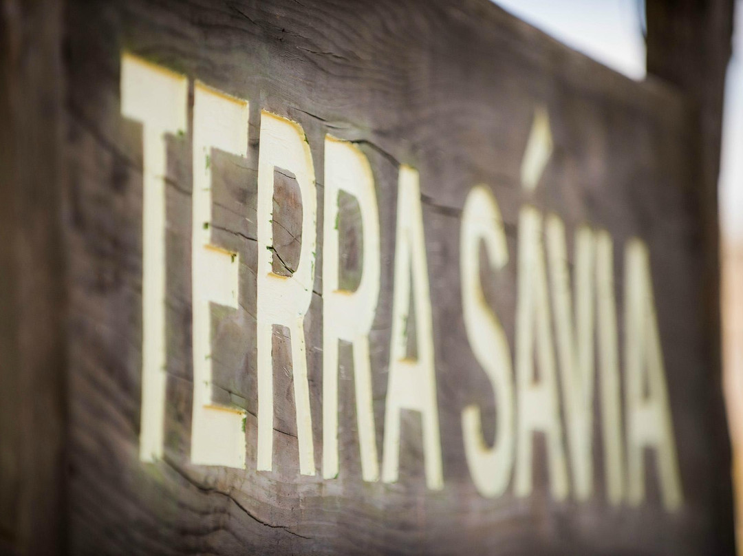 Terra Savia Winery-Hopland必去景点