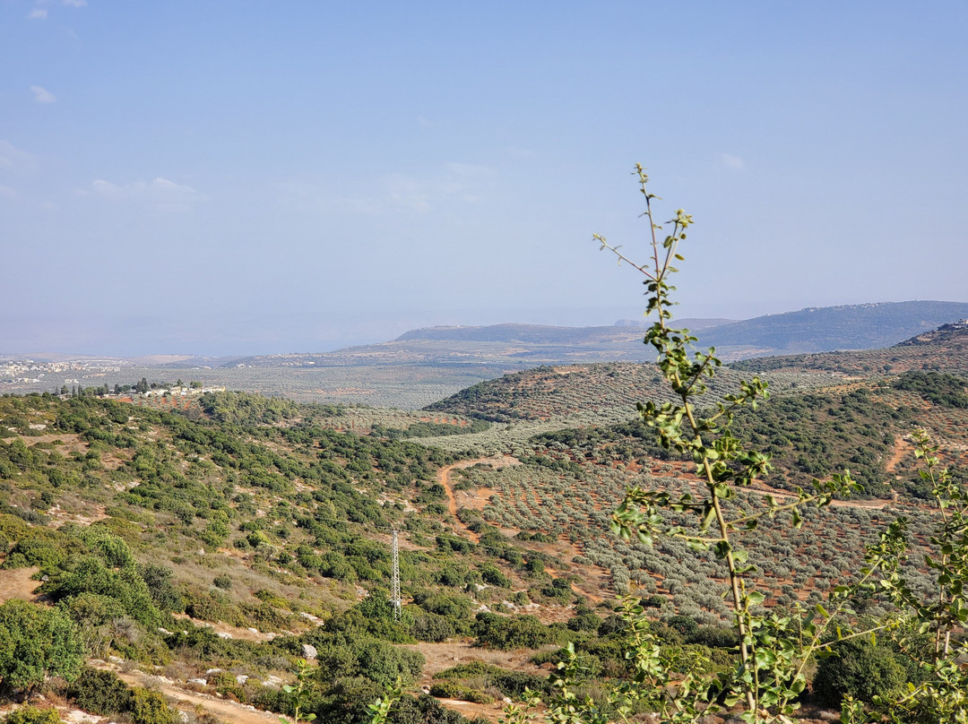 Idna旅游景点-Sphera Winery