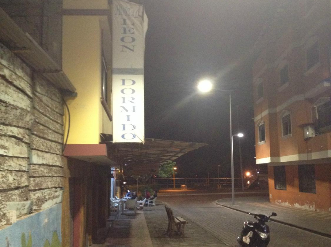 里昂多米多旅馆