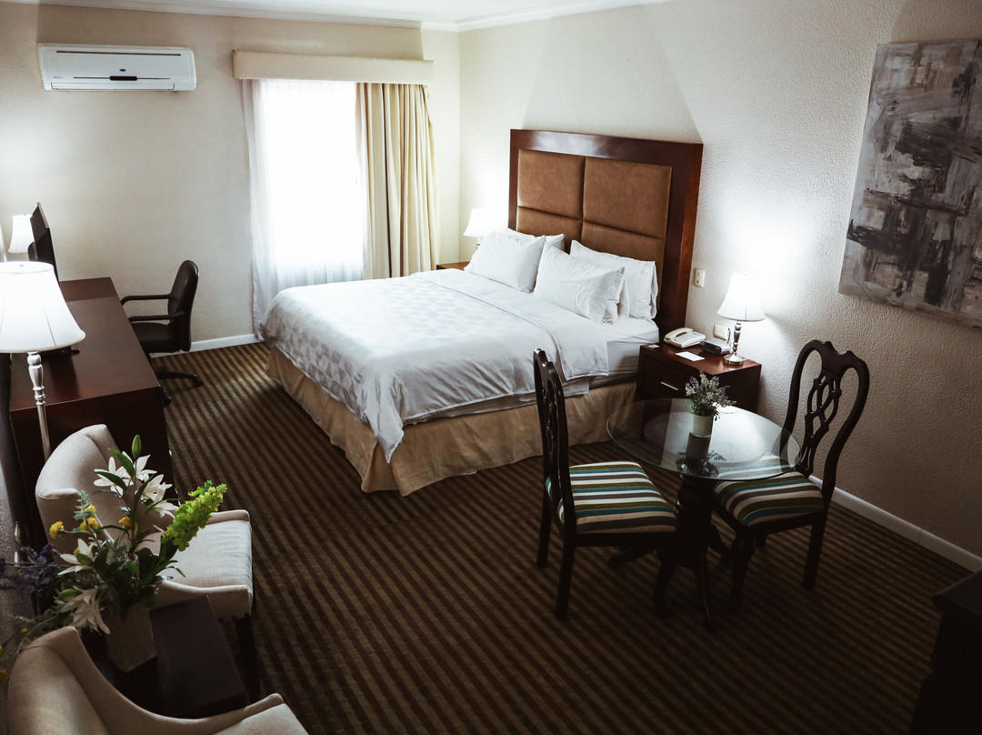 Holiday Inn Durango by IHG主图