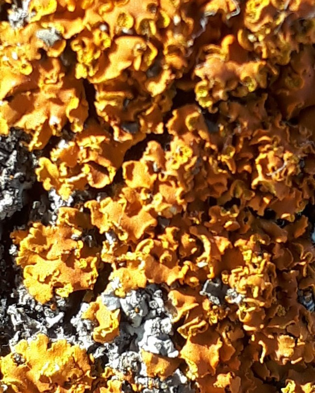 Icelandic Heritage-基米尼必去景点