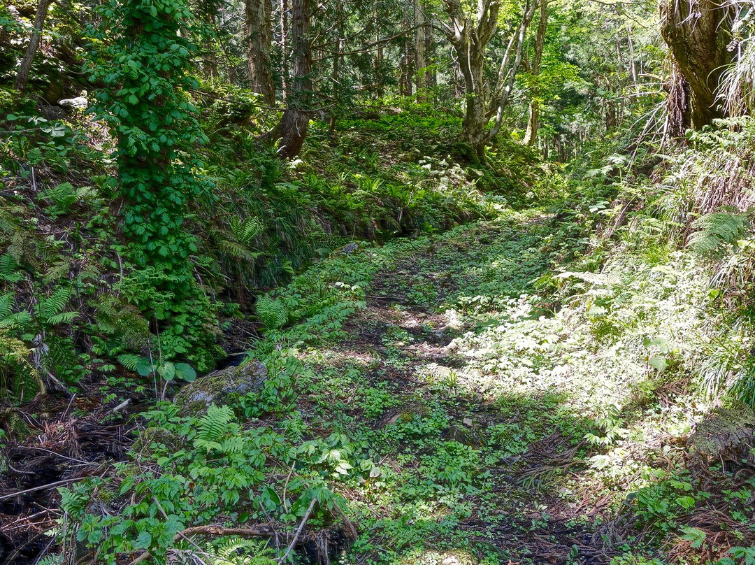 Ninnoji Temple-会津美里町必去景点