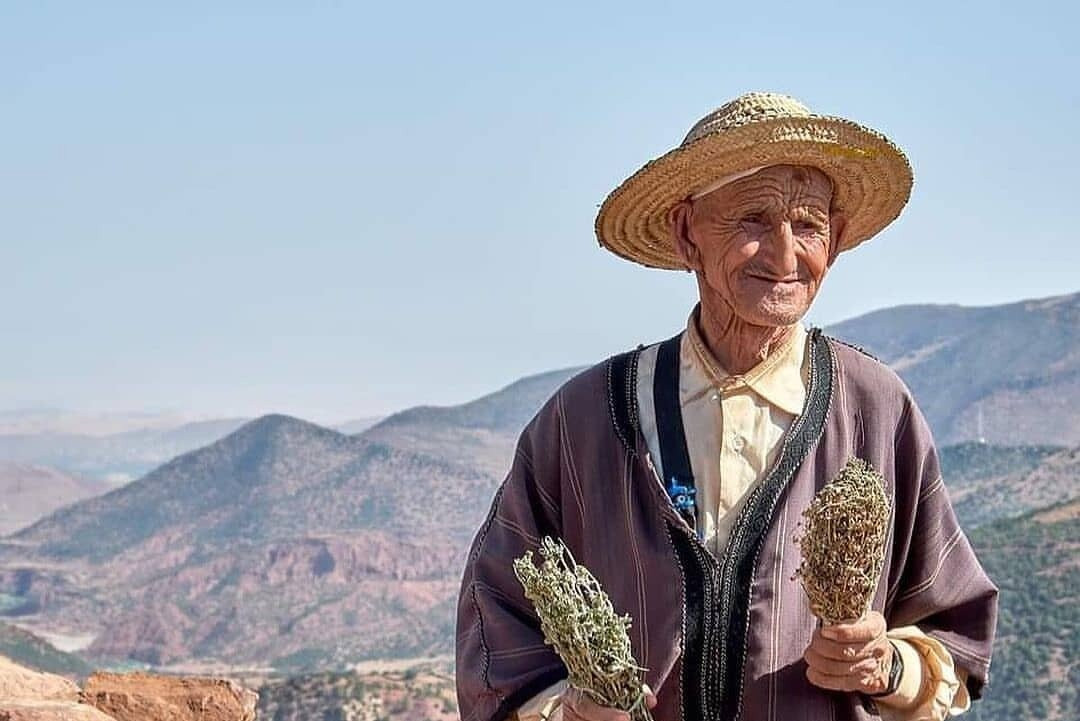 Marrakesh Day Tour-Agafay必去景点