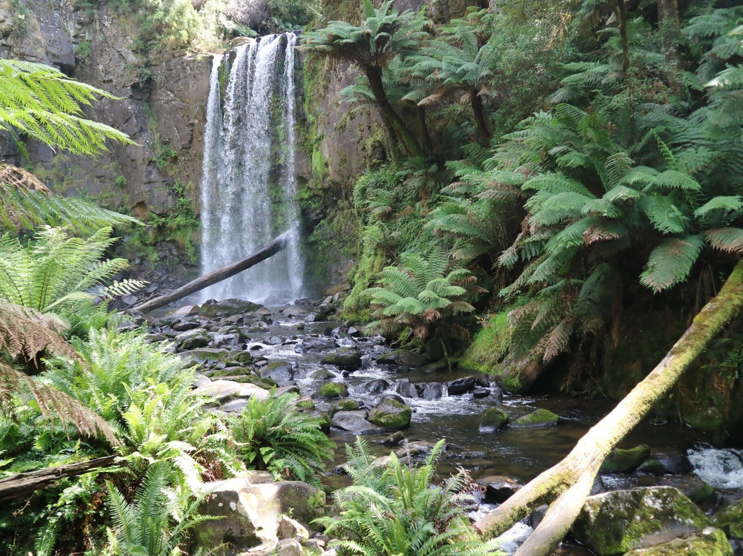 Hopetoun Falls-Beech Forest必去景点