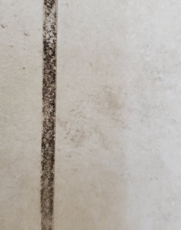 Granbury 拉昆塔旅馆及套房酒店主图