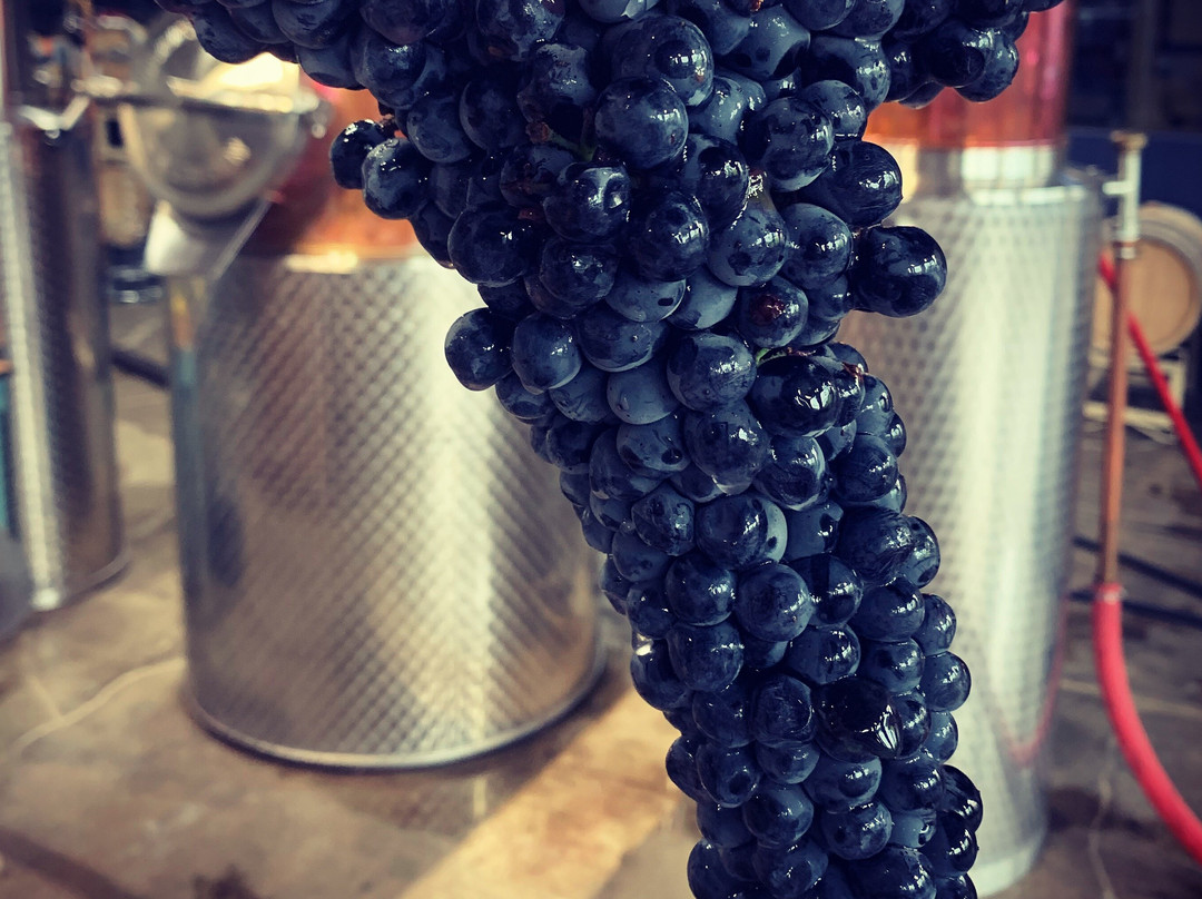 Star Union Spirits-珀鲁必去景点